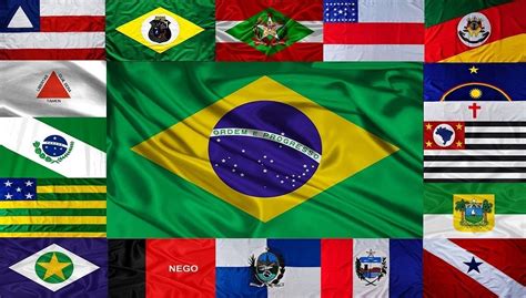 Bandeiras Dos Estados Brasileiros Playing Cards, Flag, Crest, States ...