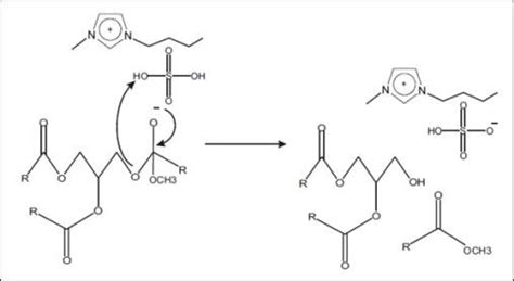 The Reaction Mechanism Of Triglyceride And Methanol Using The Ionic