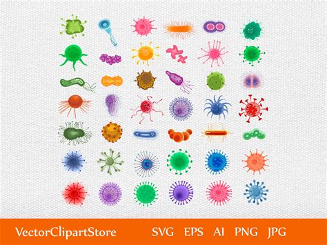 Biology Cell Cartoon Bacteria And Viruses Bundle Microscopic Etsy