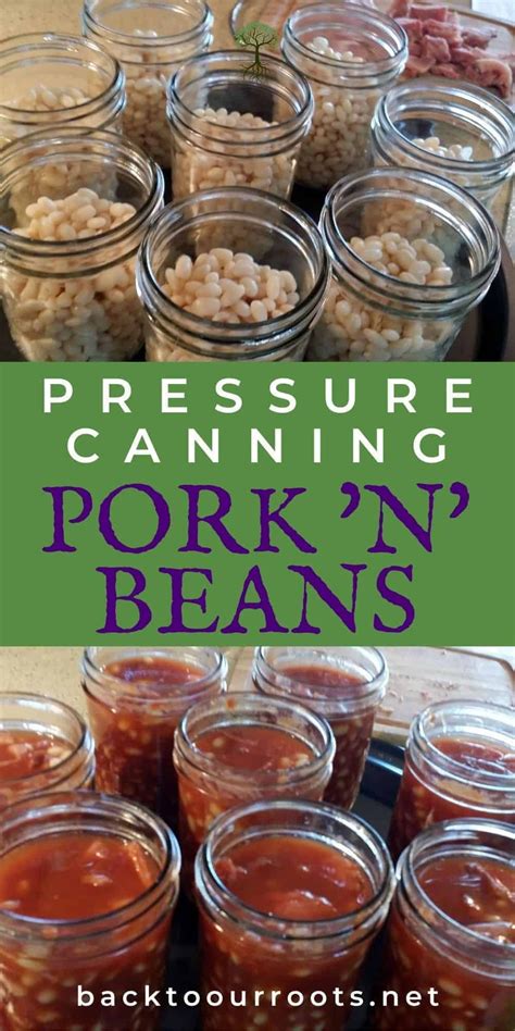 How To Can Pork N Beans In Your Pressure Canner Recipe Pressure