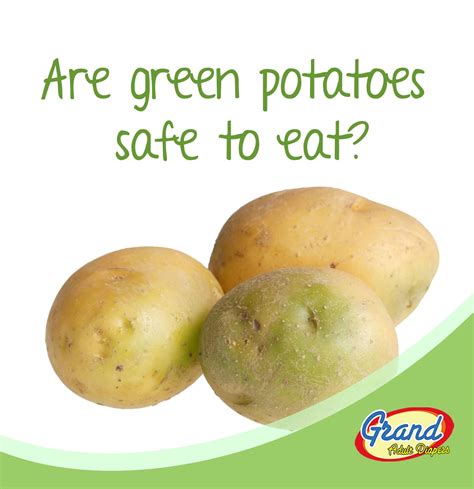 Green Potato Are Very Dangerous For Health Strictly Avoid This Do