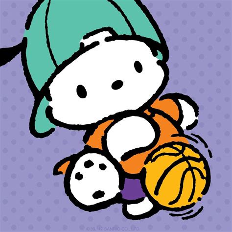 pochacco    athletic pup  kitty iphone wallpaper