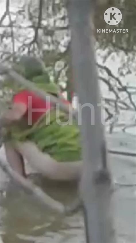 Anty Ass Wash Pond Hidden Cam ThisVid