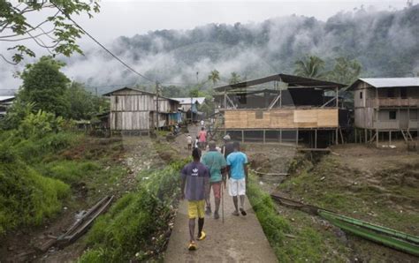 Eln y bacrim grupos que más desplazan en los territorios