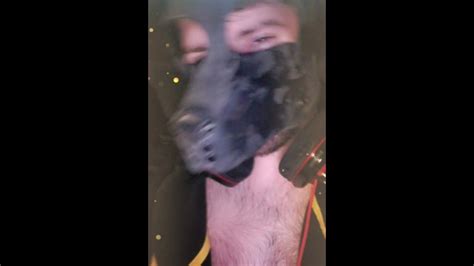 Sc Puppy Kyle Butler Eats Own Mess Free Mobile Porn Videos IPornTV