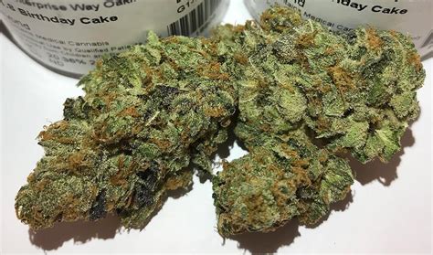 Birthday Cake Strain Everything You Need To Know And More Weed Republic