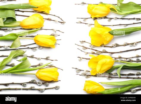 Beautiful Tulip Flowers And Pussy Willow Branches On White Background Stock Photo Alamy