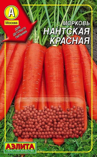 Морковь Аэлита Морковь Мир семян - купить по выгодным ценам в интернет ...