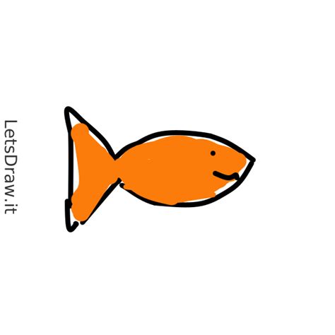 How To Draw Goldfish 3oaocnutm Png LetsDrawIt