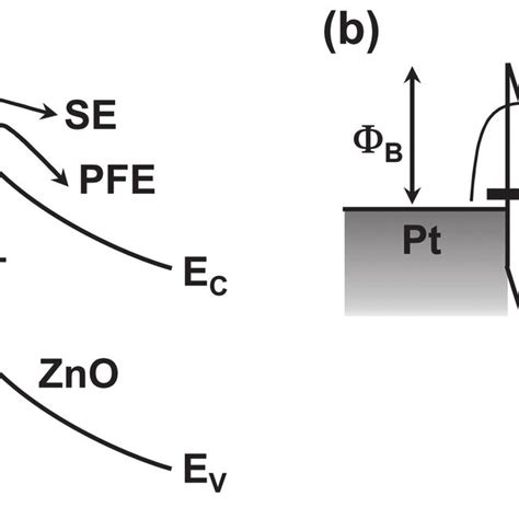 Schematic Energy Diagrams For A The Zno Samples Grown At 46 And 96°c Download Scientific