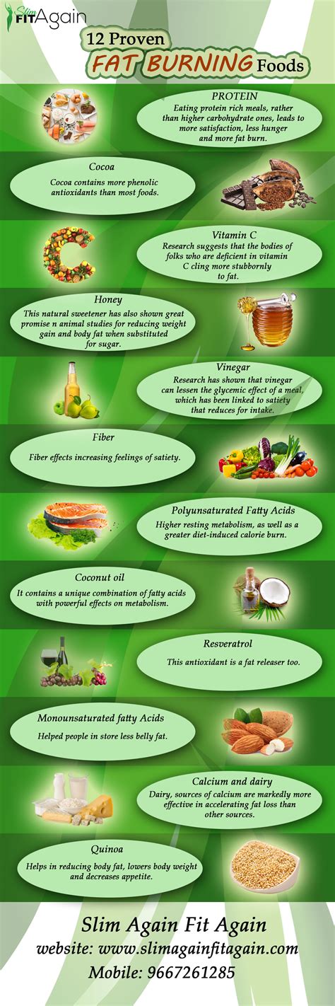 12 Proven Fat Burning Foods Rinfographics