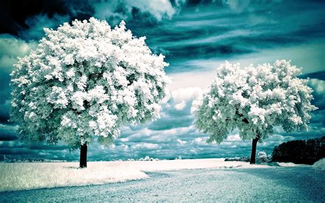 screensavers wallpapers 2