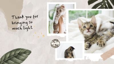 Customizable Pet Picture Collage Video Template by FlexClip