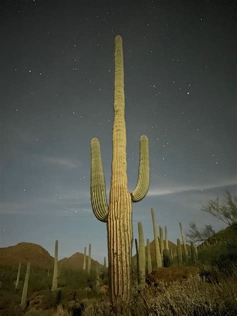 Best Moonlit Images On Pholder Earth Porn Exposure Porn And Touhou