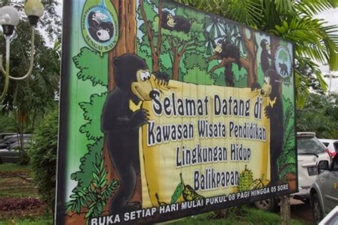 10 Fakta Balikpapan Yang Miliki Maskot Beruang Madu Bekelsego