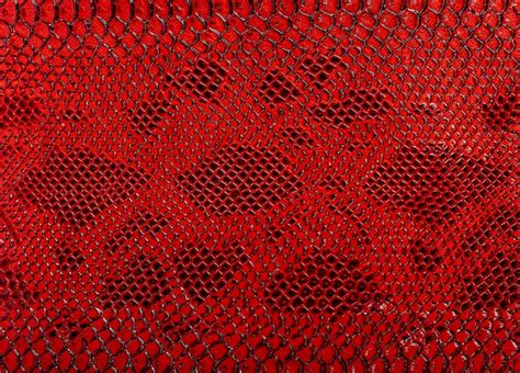 Premium Photo Snake Skin Background Close Up