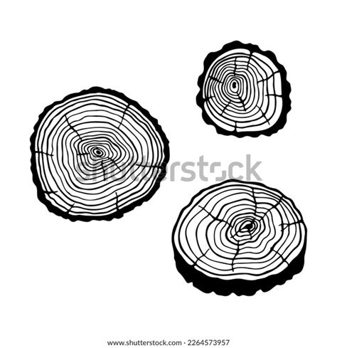 Cut Tree Stump Vector Stock Illustration Stock Vector Royalty Free
