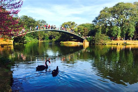 Melhores Destinos No Brasil Para Viajar Crian As Hot Is Fazenda Parques Aqu Ticos Ou