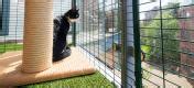 cat balcony enclosure  ultimate urban cat run omlet