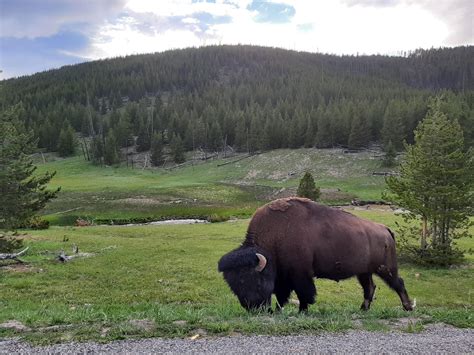 Best Yellowstone Park Images On Pholder Earth Porn Nature Is Fucking Lit And Natureismetal