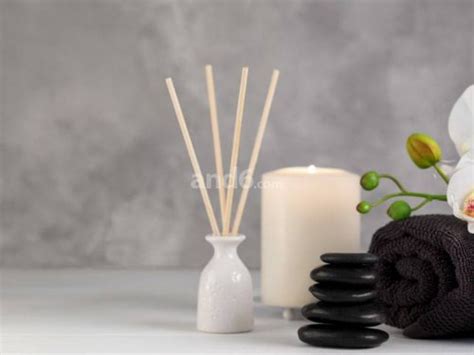 Michelle Sex Model Luzern Innerschweiz Ficken Luzern Innerschweiz