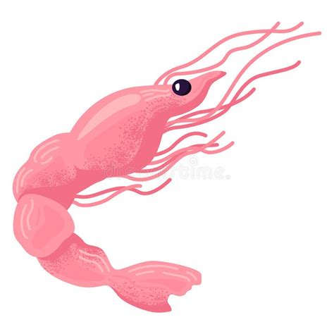 Pink Shrimp Cartoon Character Swimming Underwater Cute Marine Life