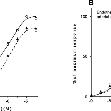 Cumulative Concentration Response Curves To Phenylephrine Phe In