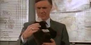 Bikini Hoe Down April May Tnaflix