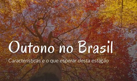 O Que Temos No Outono - Como é o outono no Brasil? Temperaturas, clima e fenômenos naturais ...