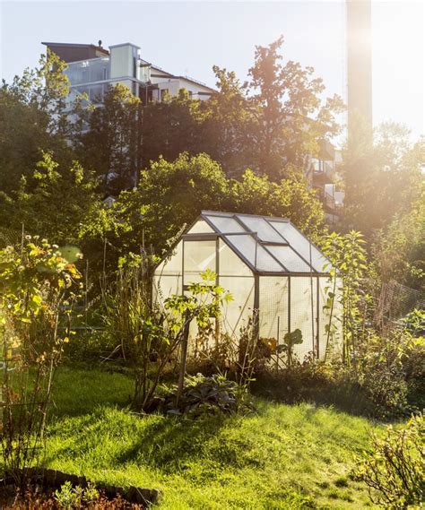 11 Great Vegetables To Grow In A Greenhouse In Fall Homes Gardens