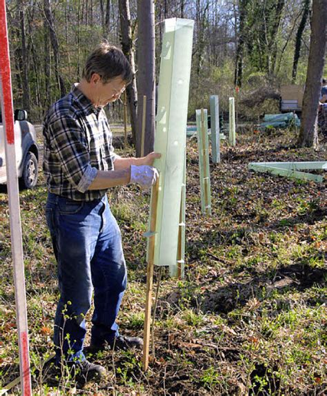 Pflanzaktion Im Rheinwald Wyhl Badische Zeitung