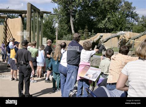 Gorilla Watchers Calgary Zoo Stock Photo Alamy