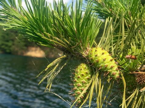 Brazil times brazil indiana reports on local school board changes 14