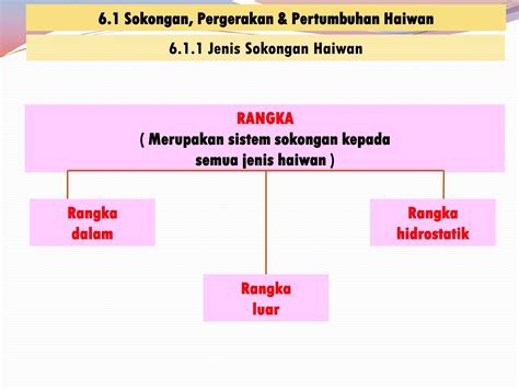 Nota Ringkas Sains Tingkatan 4 Bab 1 Nota Ringkas Sains Tingkatan 3 Yang Penting Bab 4