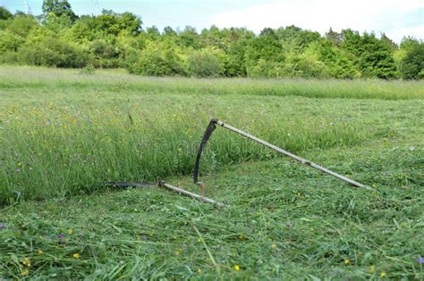 Tradition Scythe on Mowing the Green Meadow Stock Photo - Image of love, person: 118172578