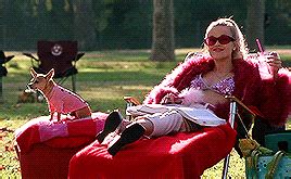 Wanderlust Legally Blonde Thank U Next