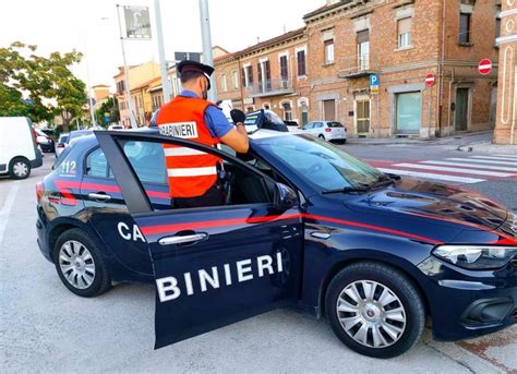 Il Cane Fiuta La Droga Enne Nei Guai