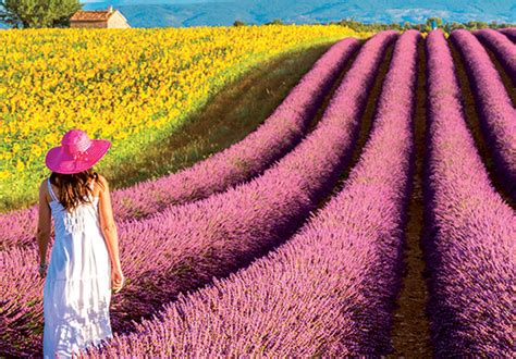 European Holidays & Tours 2025/2026 | Saga Holidays