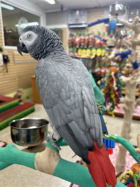 Gallery – Bird Paradise