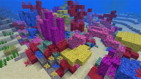 Minecraft Deep Look Coral Reef YouTube