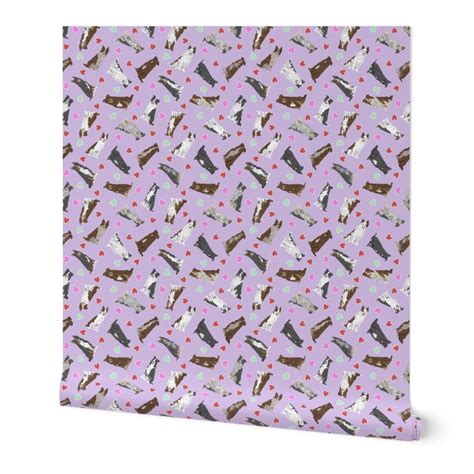 Tiny Black and Brown Border Collies - Wallpaper | Spoonflower