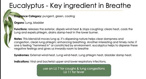 Oil Talks — Essential Wellness Community