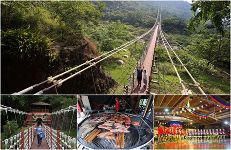 【嘉義景點】阿里山二日遊熱門景點美食、人氣步道＆住宿攻略旅遊懶人包！ Mimi韓の旅遊生活