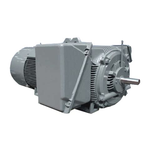 Squirrel Cage Induction Motors – Acas Elektrik Corporation (ACECorp) 