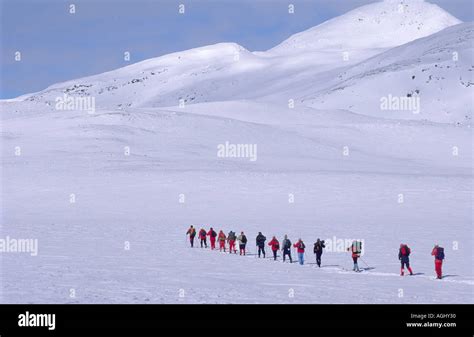 Cross Country Skiers Stock Photo Alamy