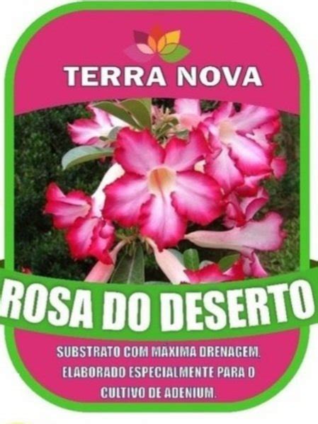 Substrato Especial Rosa Do Deserto Kg Terra Nova Uniflora