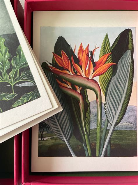 The Gay S A Portfolio Plates Mark Ryden Joe The Tattoo Guy