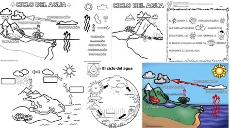 Ciclo Del Agua Material Educativo