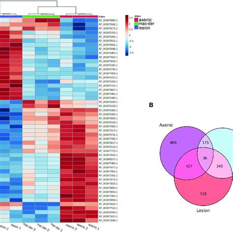 A Hierarchical Clustering Heat Map Representing The Top 50 Download Scientific Diagram