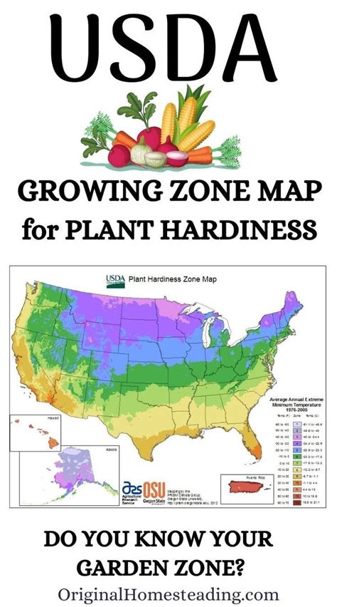 USDA Plant Hardiness Zone Map for Gardening